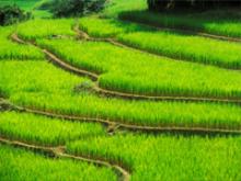 ������ ������ ������� ��� ������� ������